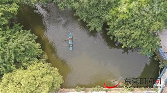 東莞深入推進(jìn)水污染治理攻堅戰(zhàn)，碧水清流重現(xiàn)莞邑