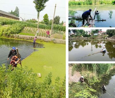 保衛(wèi)綠水青山 羅塘街道水污染防治工作如火如荼