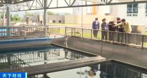 韓城市水污染危機(jī) 幼蟲(chóng)事件引發(fā)凈水恐慌與治理反思