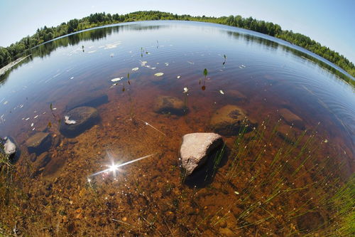 中國環(huán)境水污染治理的主要研究機構及其貢獻