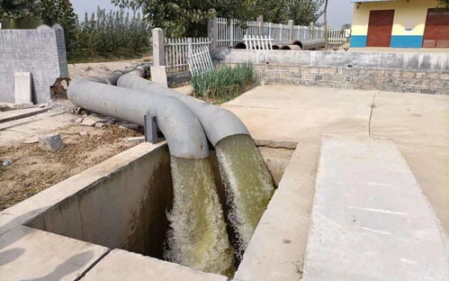 九戶鎮(zhèn)多措并舉筑牢生態(tài)屏障 扎實推進秸稈禁燒與水污染治理工作