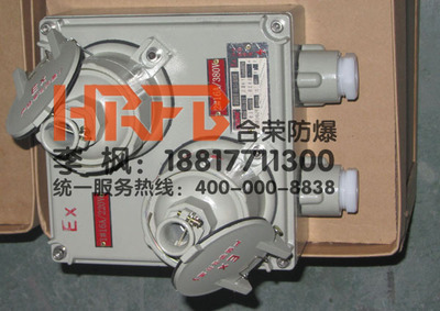 BCX51系列防爆配電箱 專業(yè)照明動(dòng)力解決方案與廠家直銷優(yōu)勢(shì)
